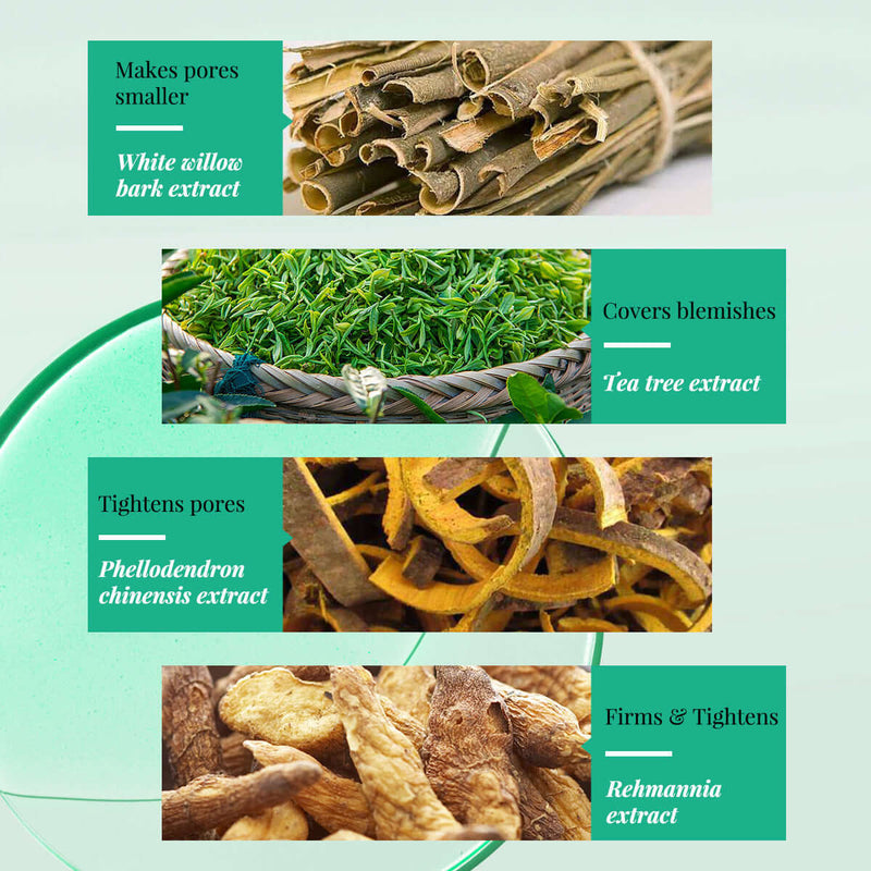 Image showcasing herbal ingredients for acne treatment: white willow bark, tea tree, and rehmannia extracts.