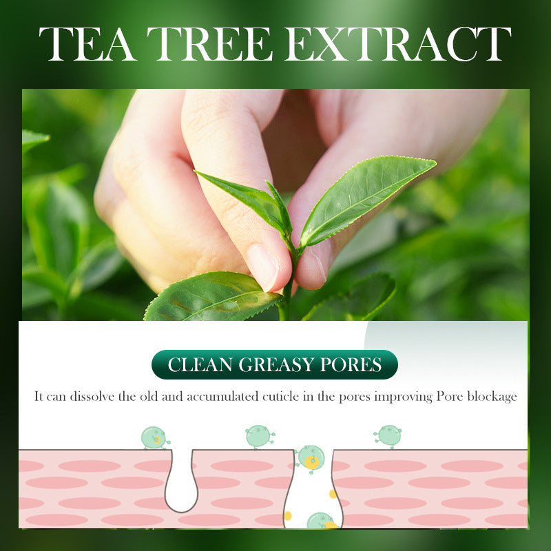 Hand holding tea tree leaves with a graphic showing pore cleansing benefits of tea tree extract.